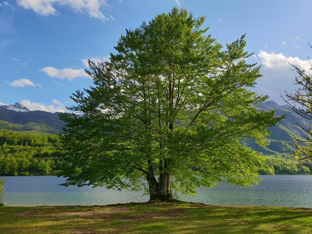 Apartments Vila Darja Bohinj Buitenkant foto