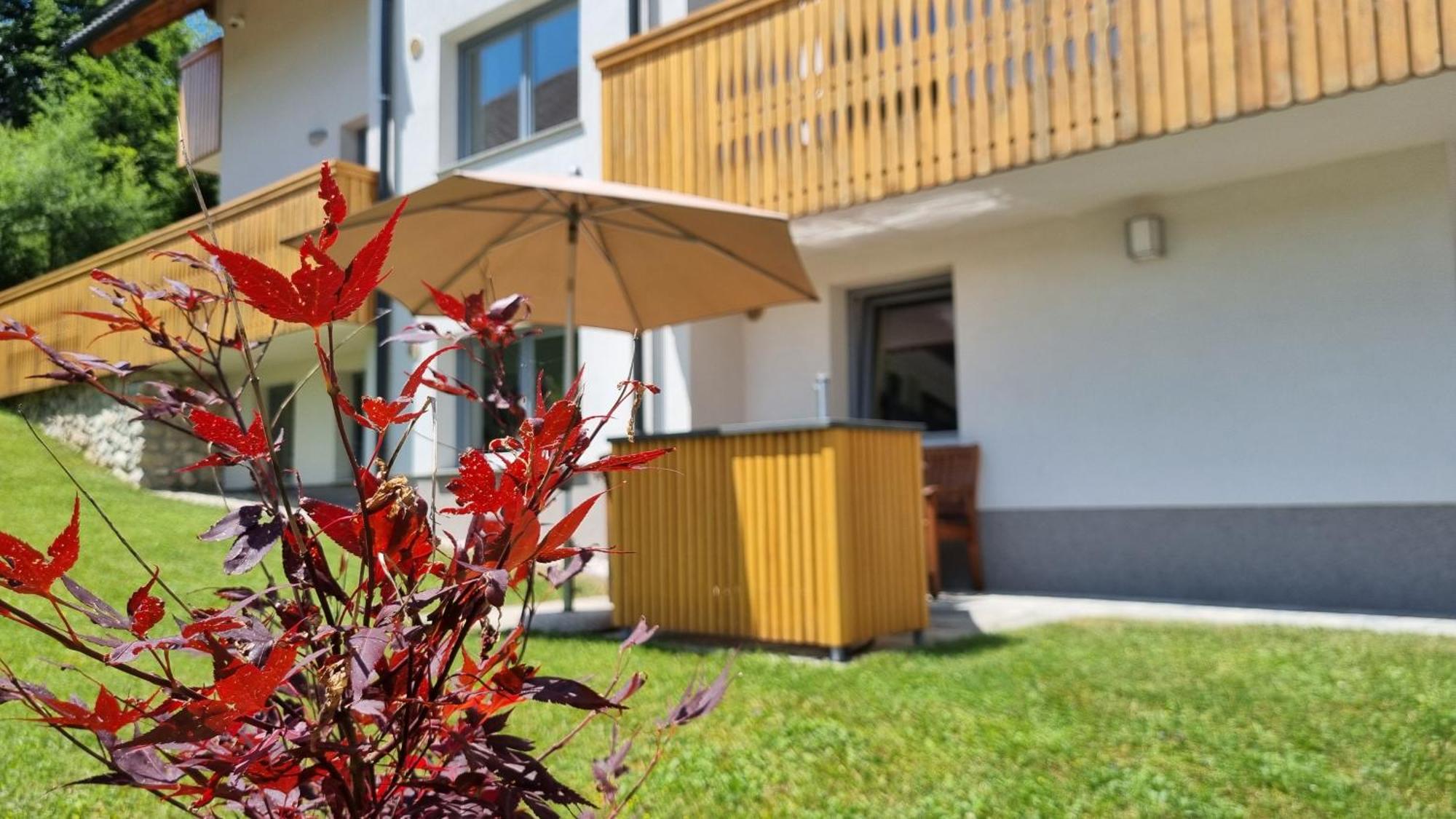 Apartments Vila Darja Bohinj Buitenkant foto